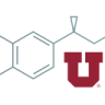 University of Utah Therapeutics Accelerator Hub
