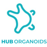 HUB Organoids
