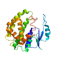 SPOC Proteomics